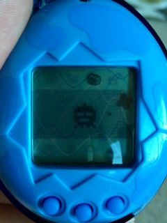 user posted image