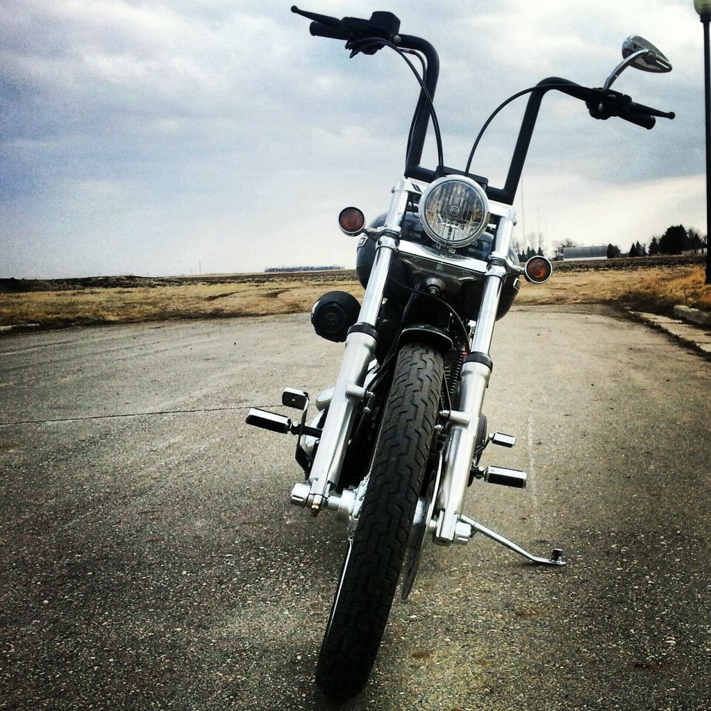 hill country customs apes