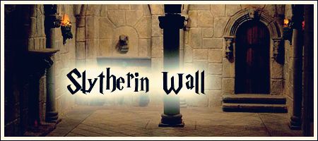 Slytherin Wall Snitchseeker Com