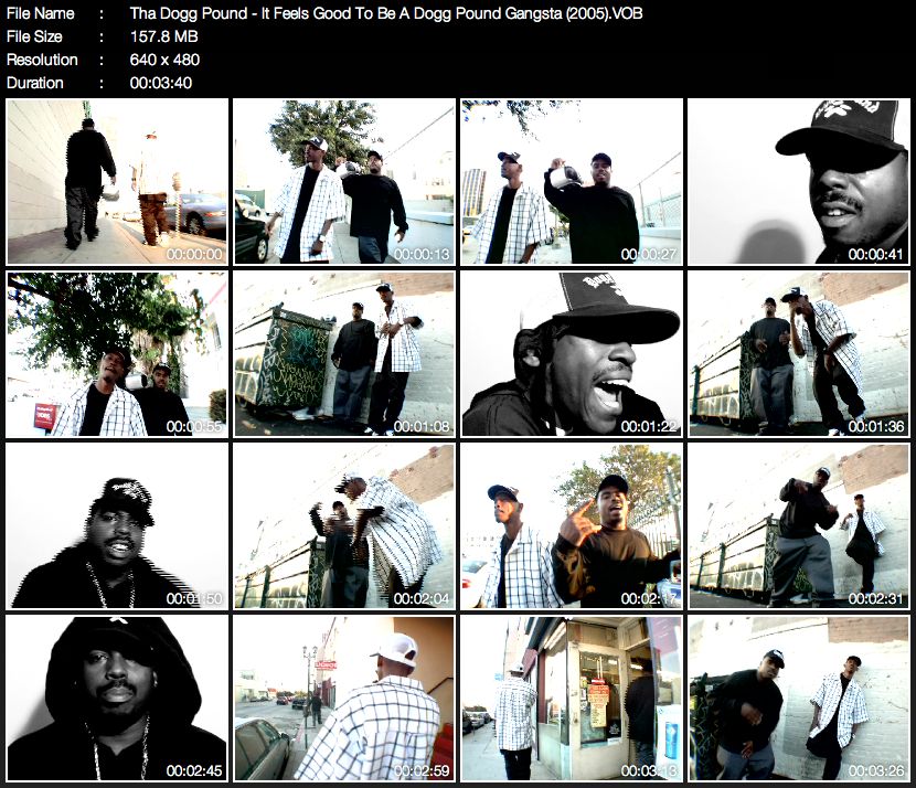 ThaDoggPound-ItFeelsGoodToBeADoggPoundGangsta2005.jpg