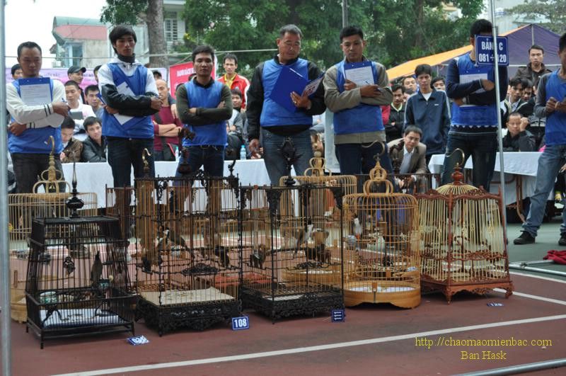 DSC_0485_800x531.jpg