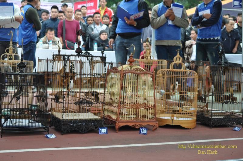 DSC_0486_800x531.jpg
