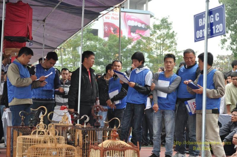 DSC_0493_800x531.jpg