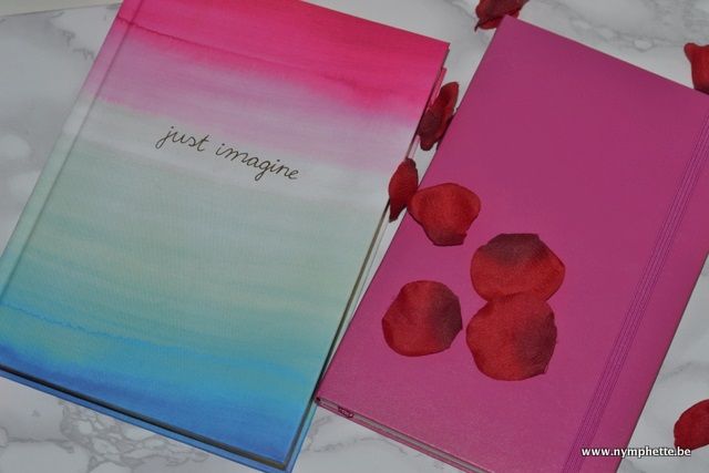  photo Valentine Gift Ideas Notebooks_zpsto3w383c.jpg